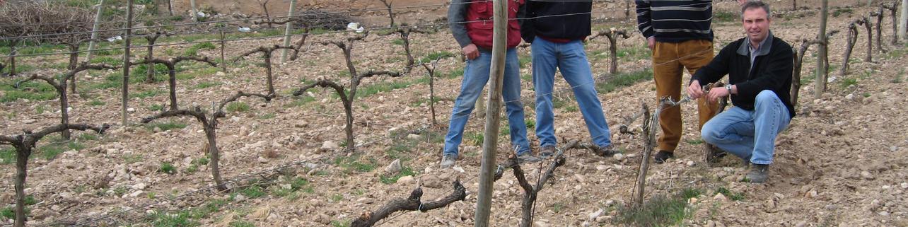Bodega Epifanio Rivera S.L. Bodega Epifanio Rivera S.L.