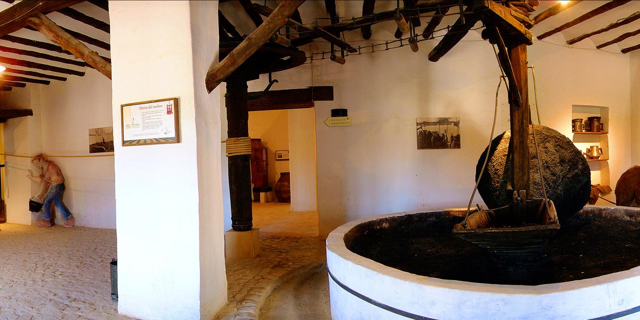 Museo de la Cultura del Olivo Museo de la Cultura del Olivo