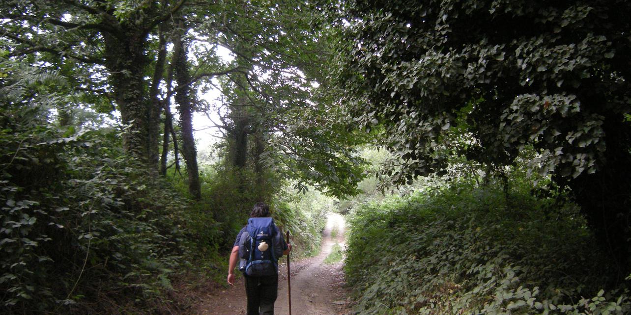 Área Recreativa de Gontán Área Recreativa de Gontán