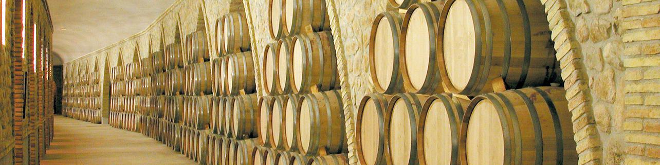 Bodegas Gran Feudo, S.L Bodegas Gran Feudo, S.L