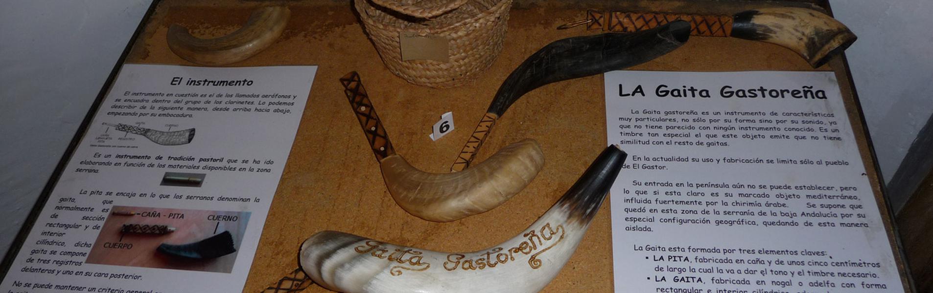 Gaita gastoreña Guía Repsol