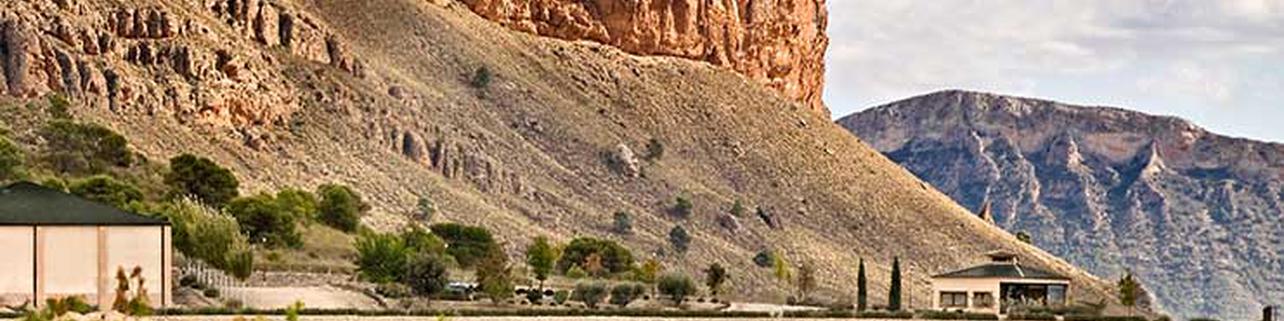 Bodegas Juan Gil S.L. Bodegas Juan Gil S.L.