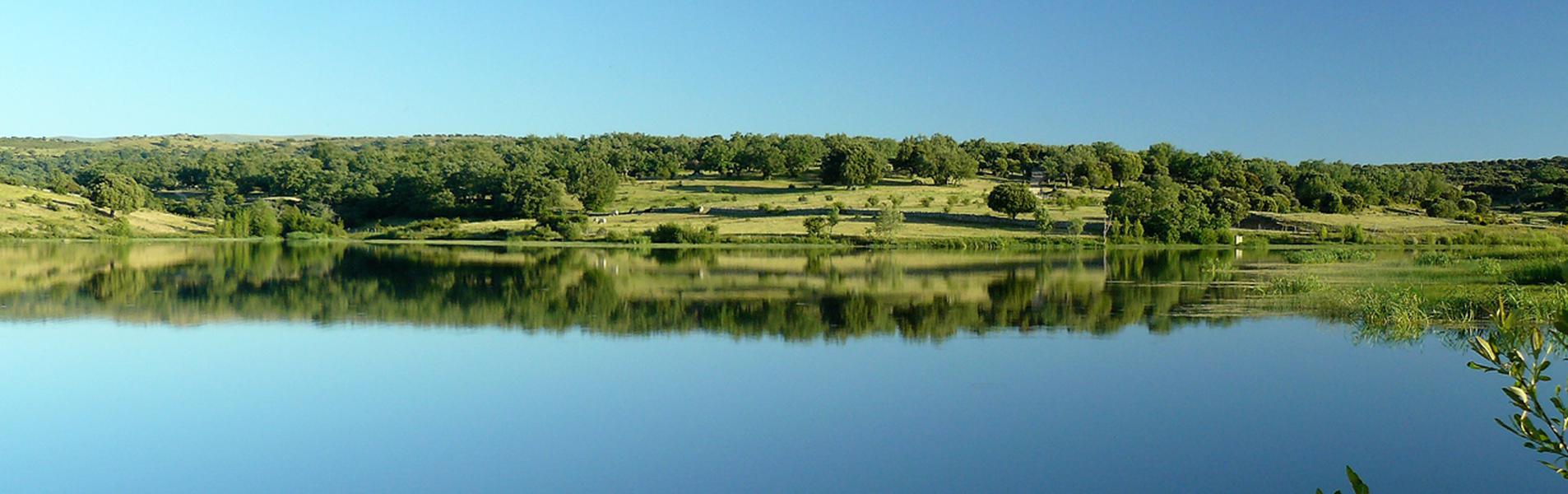 Valdecarros Guía Repsol