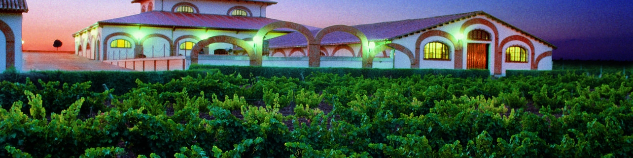 Bodegas Fariña S.L Bodegas Fariña S.L