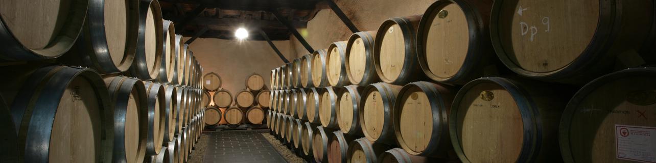 Bodegas Cuatro Pasos Bodegas Cuatro Pasos