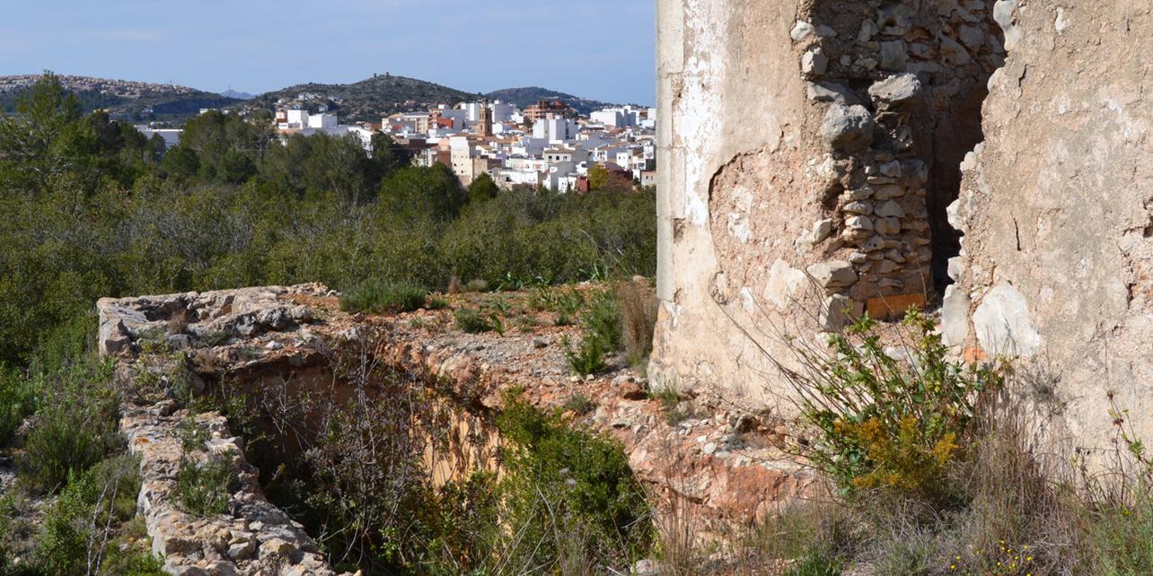 Árboles singulares de Gata de Gorgos Árboles singulares de Gata de Gorgos