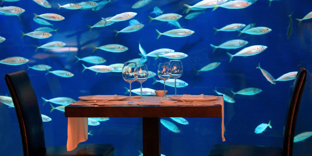 Oceanográfic Oceanográfic