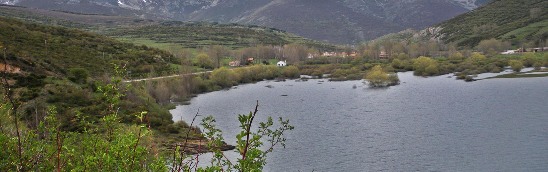 Triollo Guía Repsol